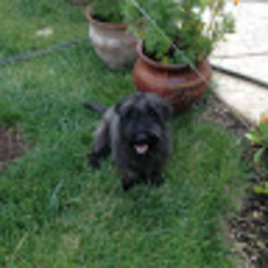 Meet your Posher, Sukhdev